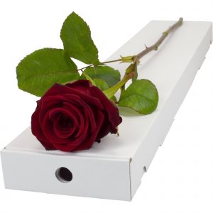 A stunning Single Red Rose in a letterbox friendly box.